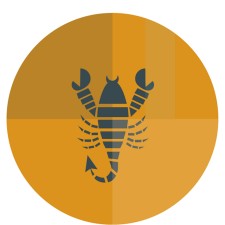 16_icons_zodiac