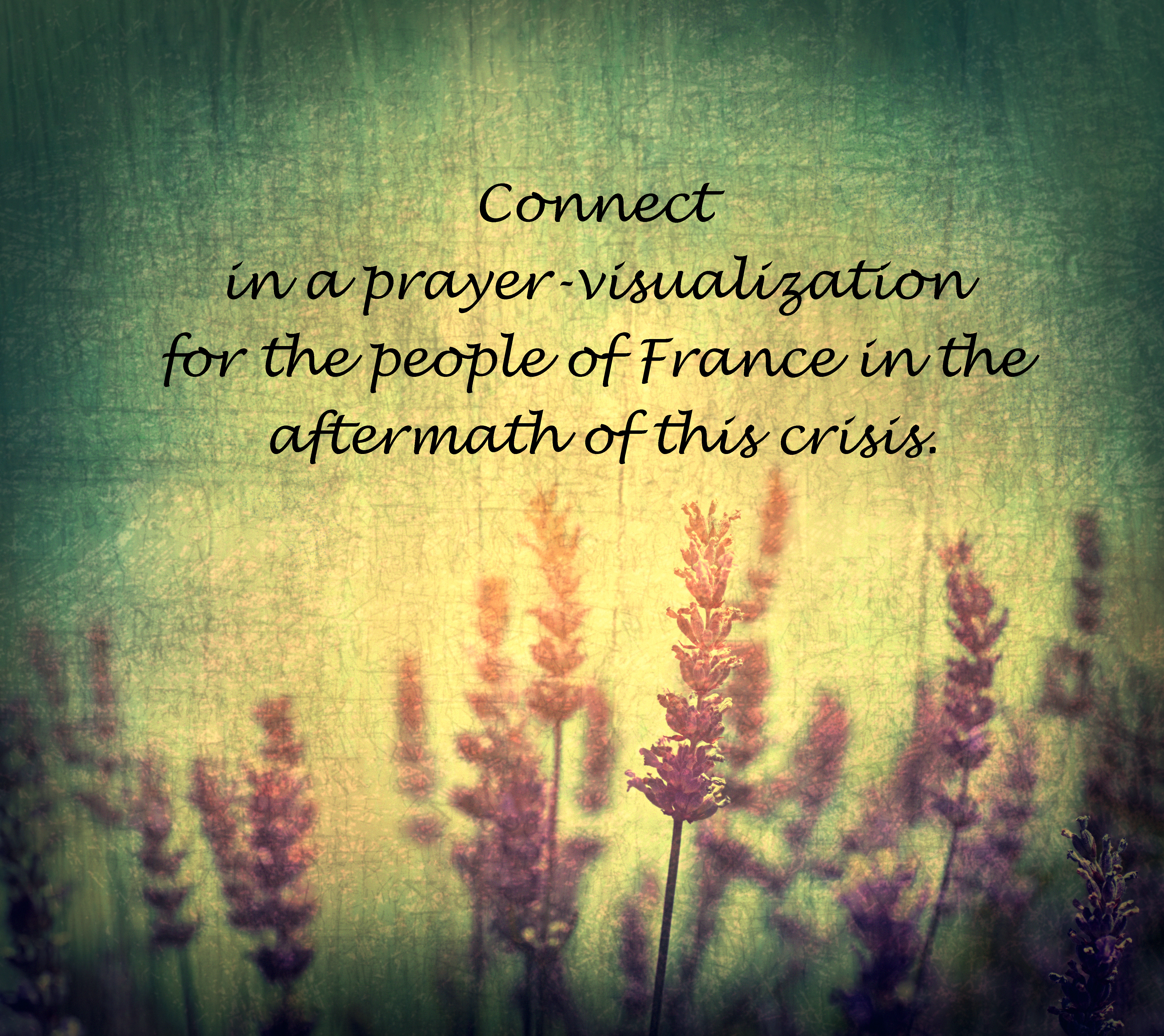 Prayer for France: Lavender Flowers