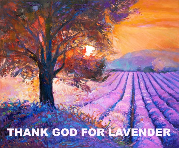 LAVENDER 2