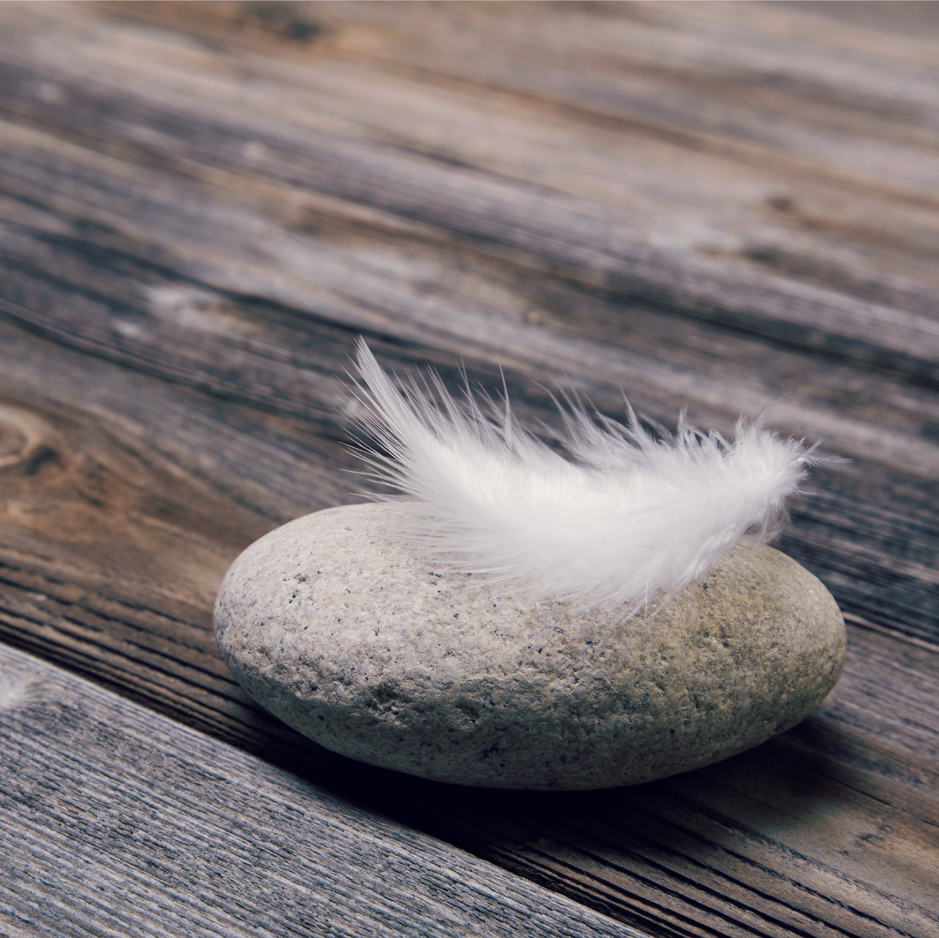 Mourning concept: Natural wooden background with stone and white feather.