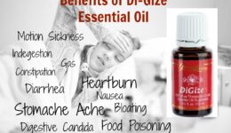 5 Benefits of DiGize Essential Oil