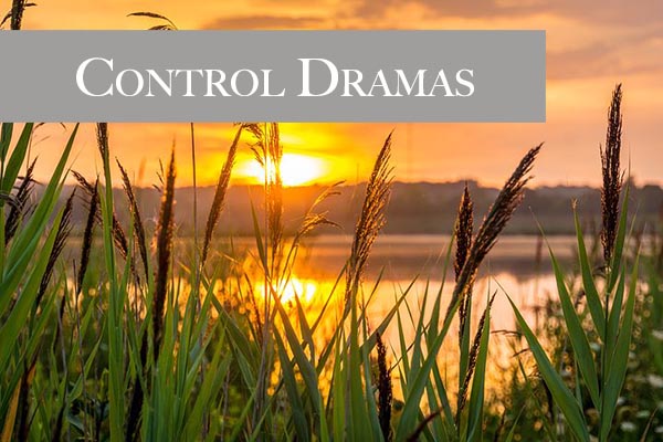 Want to take a deeper look at the control dramas referenced in the Celestine Prophecy? Look no further...